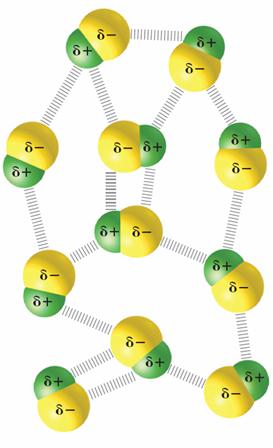 > Attractions Between Dipole interactions occur when polar molecules are attracted to one another.