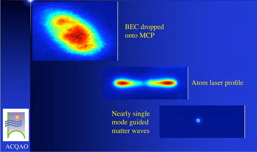 Waveguide results BEC dropped onto MCP Atom