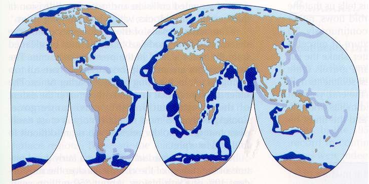 The world distribution of