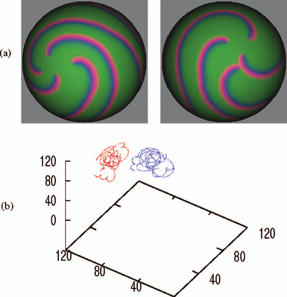 Color a Left and right views of a spherical shell with R=60 for =5, together with a plot of the location of the singularities for every time step in the range 25 000 t 25 200 in b.