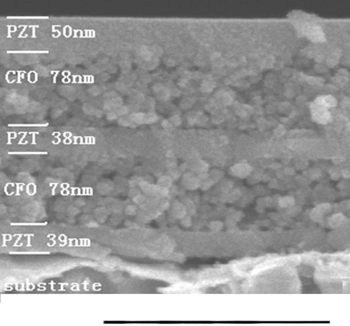5 SEM cross-sectional micrograph of composite thin films, the concentration of intermediate PZT solution is 0.1 mol/l. FIG. 7 P -E hysteresis loops of the composite.