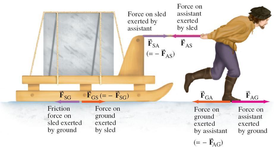 Newton s Third Law of Motion Conceptual Example 4-5: Third law clarification. Michelangelo s assistant has been assigned the task of moving a block of marble using a sled.