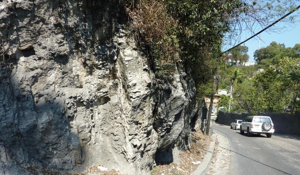 Very hard limestone rock of south hills