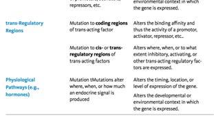 the Mutation POINT MUTATIONS: ACA ATG GTA CGA CAA ACA ATT GTA CGA CAA