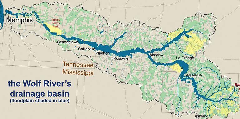 Aldrin in the Wolf River Wolf River Lecture 19 - Sta 111 Colin Rundel June 11, 2014 The Wolf River in Tennessee flows past an abandoned site once used by the pesticide industry for dumping wastes,