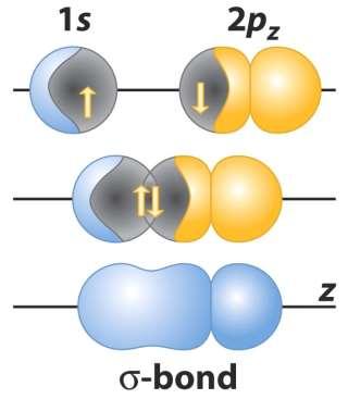 Local Electron Model (Valence-Bond Theory) A σ bond is formed in