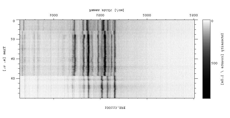 Single-molecule rhodamine 6G SERRS spectra