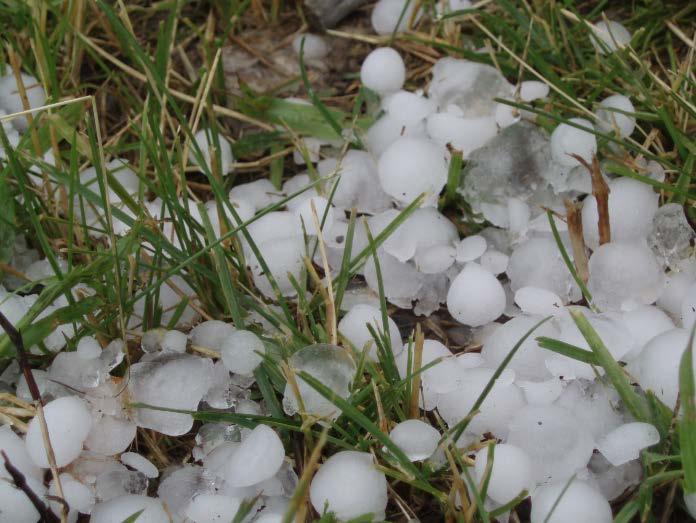Hail Hail forms when a small drop of water freezes, falls, and then gets pushed back up into a cloud.