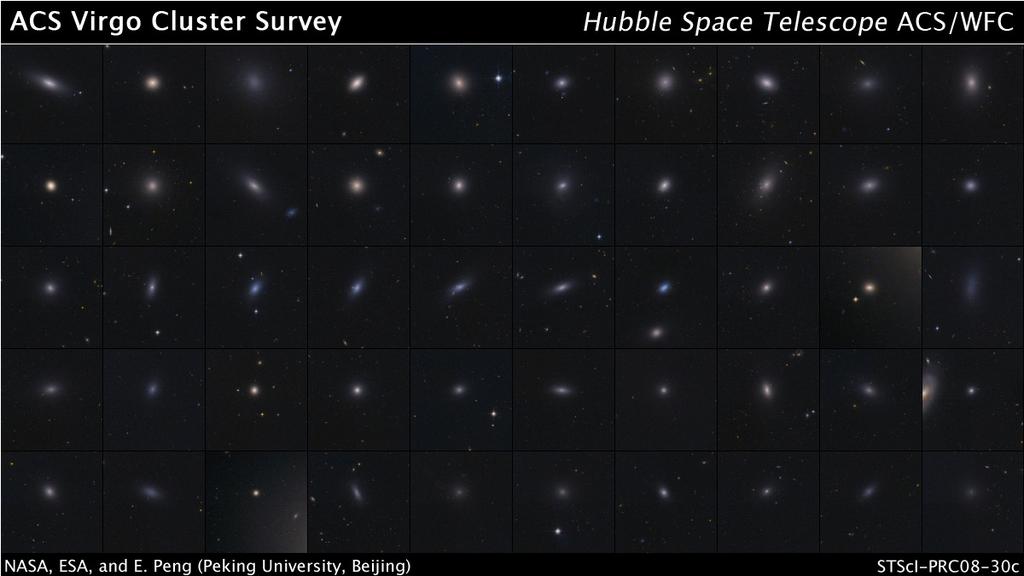Early-type dwarf galaxies: nature or nurture?