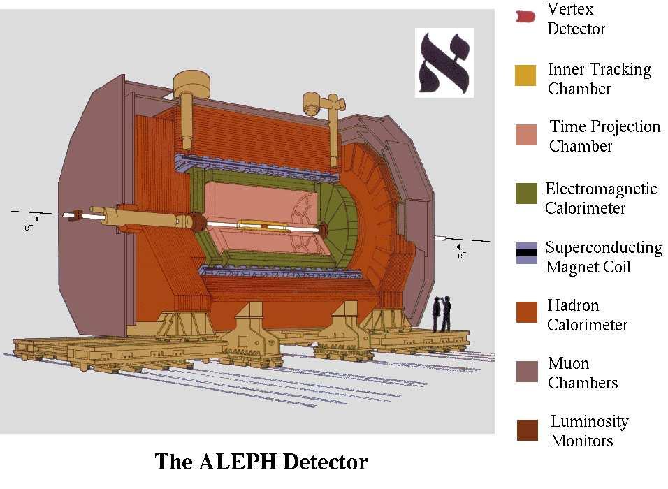 The Four Detectors at LEP Forward Chamber A Forward RICH Forward Chamber B Forward EM Calorimeter Forward Hadron Calorimeter Forward Hodoscope Forward Muon Chambers Surround Muon Chambers Barrel Muon