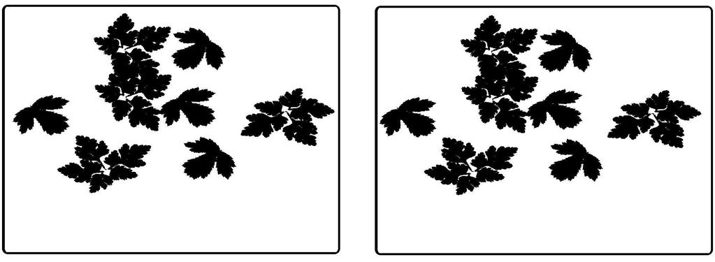 The initial pair of input figures can be arbitrarily chosen, here they are each the same and consist of four leaves.