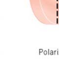The plane of polarization is determined by the axis of the