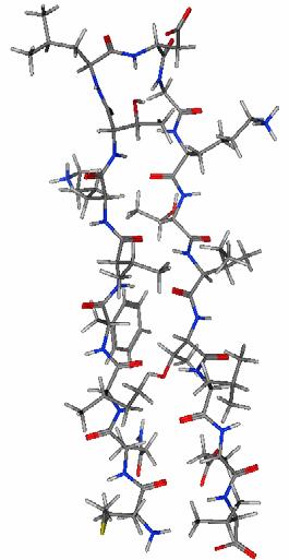 β-hairpin U(1-17)T9D Lowest energy system most closely resembles the NMR structure The other structures were sampling local minima Formation of turn critical All simulations yielded a turn in the