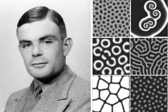 The magnificent patterns of Dr Turing Question: How to