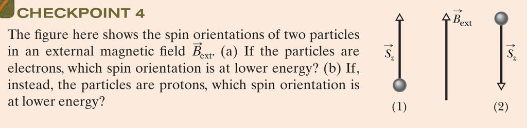 For an electron the spin is For a proton the spin is the opposite direction as the the same direction as the magnetic moment. magnetic moment. S! S! ( ) "!