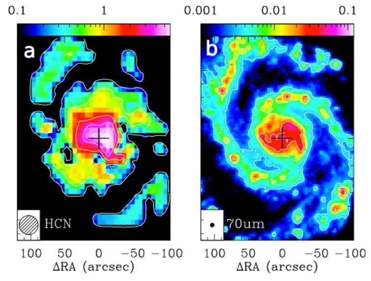 The resolved LIR L HCNJ=1-0 relation observed towards M 51, with each symbol representing a region ~1 kpc in size.