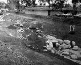 ENC History!!!!!!! In 1972 the gully between Newport Harbor High School and the private property on Kings Drive was a dumping area for the school district bus garage.