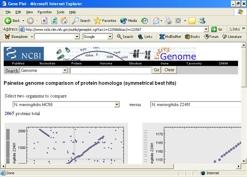 Genome analyses@ncbi Pairwise genome comparison of protein homologs