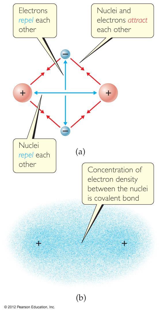 Covalent In covalent bonds, atoms share electrons.