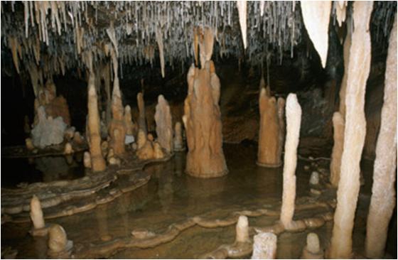 dioxide to form a weak acid = carbonic acid weathers limestone forms deposits from roof/floor of caves Stalactite Stalagmite Karst Topography