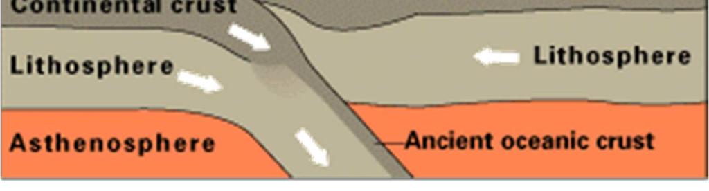 boundary Continental crust