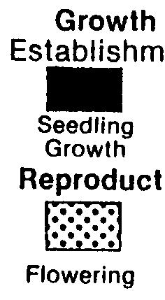 The only significant difference was the length of seedling growth stages.