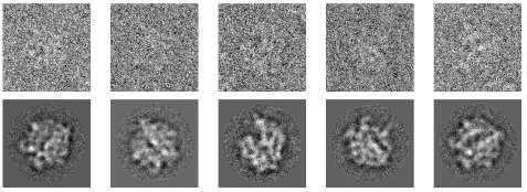 Ab initio Reconstruction of Experimental Data Sets 40, 778 images of 70S ribosome (Courtesy Dr Joachim Frank) Image size: 250 250 pixels.