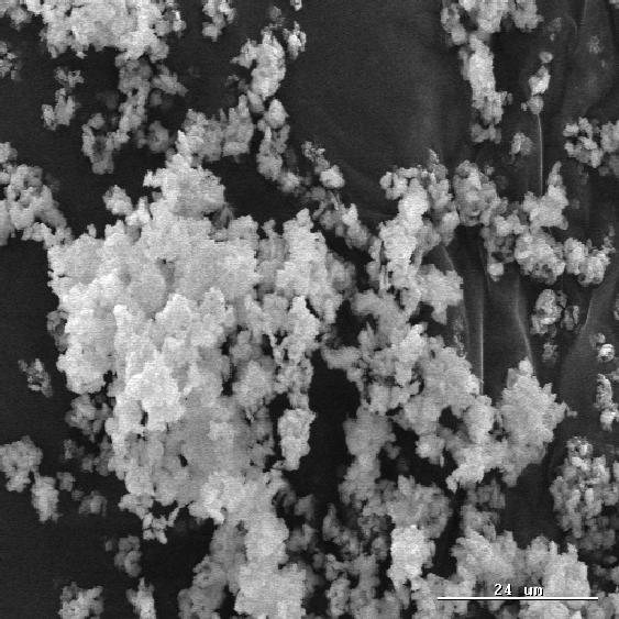 3.2.1.3 Scanning Electron Microscopy (SEM) SEM images of ZSM-5 were obtained using a Hitachi S800 field emission gun (FEG) SEM. Shortly before a SEM image was taken, the sample was coated with gold.