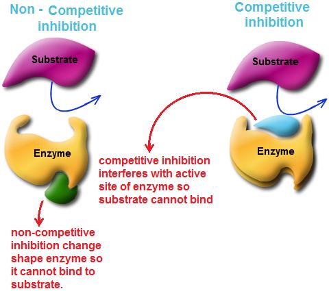 Enzyme inhibitors also can be classified into competitive and non-competitive inhibitors. On the basis of the stability of the complex E-I which they form.