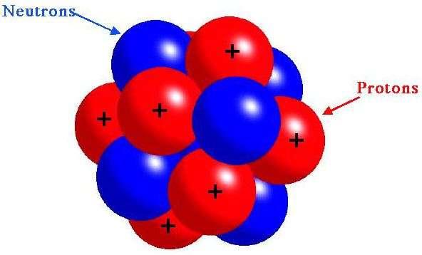 Contains the mass of the atom Protons are positively charged with a mass of 1 AMU