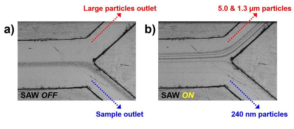 40 can be found in Appendix D. To evaluate the functionality of the PMMA chip, we first performed particle separation experiments using the lab equipment. A sample containing a mixture of 5 μm, 1.