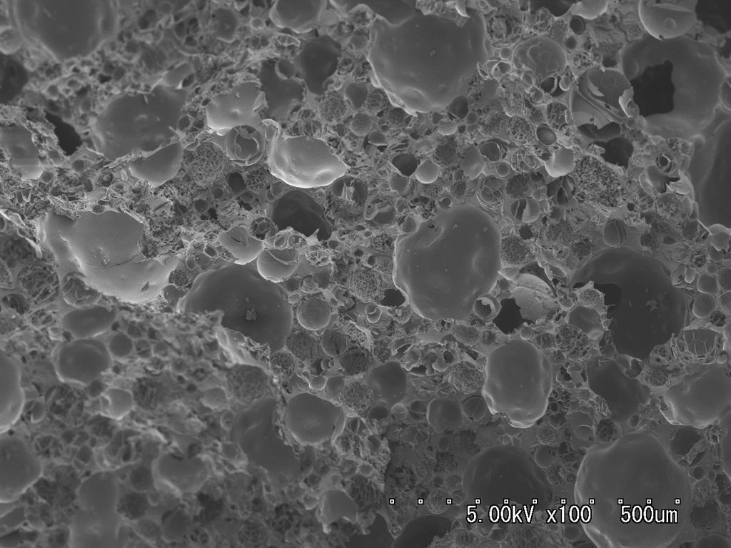 SEM Observation We observed a fracture surface of micro porous composite specimen by using a SEM in order to discuss the influence of the dispersion of Sirasu Balloon on the characteristics of the