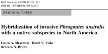 or invasive? & replacing native genotypes - what should be the state s response?