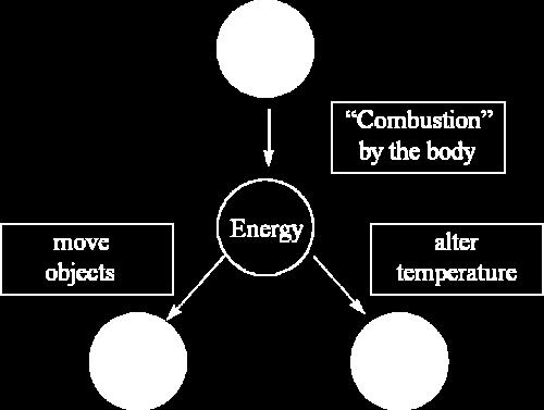 Energy Relations in Chemistry: Thermochemistry The Nature of Energy Sugar you eat is "combusted" by your body to produce CO 2 and H 2 O. During this process energy is also released.