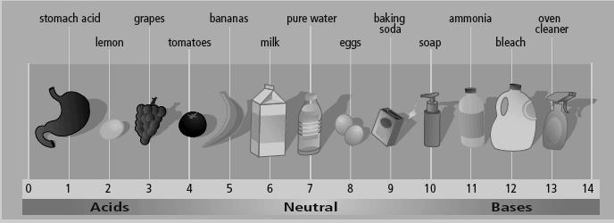 8. A list of some common items and their approximate ph values are given below. Which of the following items would turn blue litmus paper red? a) Eggs b) Pure water c) Ammonia d) Tomato 9.