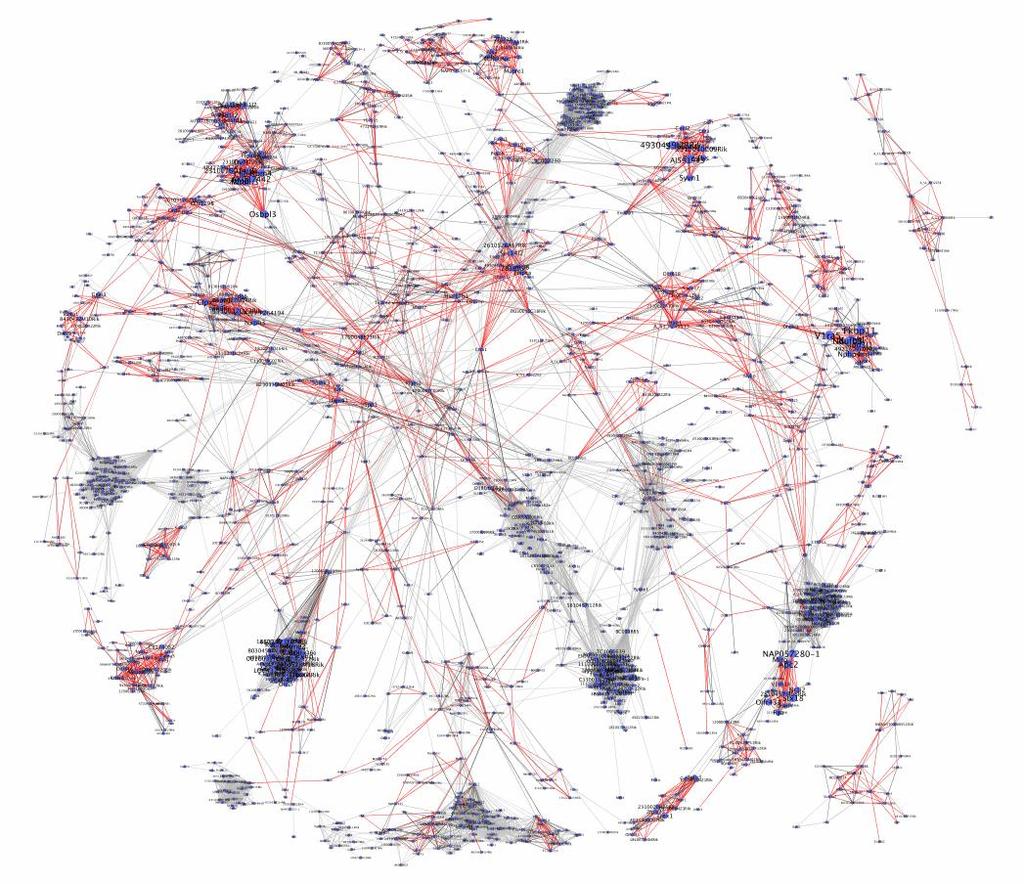Genetic network Connect genes with high