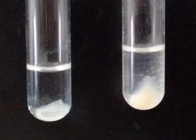 The bulk proteins in the sample are precipitated and removed, typically by addition of organic solvent, and the supernatant