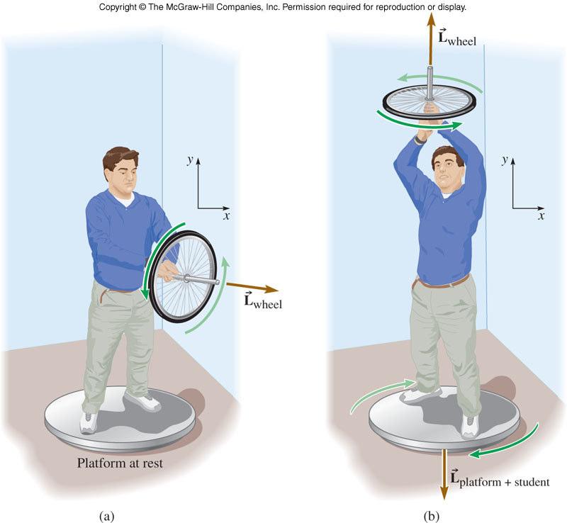 Angular Momentum Demo Consider a person holding a spinning wheel. When viewed from the front, the wheel spins CCW.
