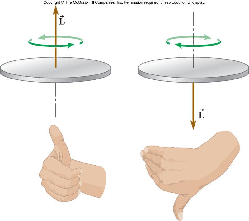 The Right-Hand Rule Curl the fingers of your right hand so that they curl in the direction a point on the object moves, and your thumb will point in the