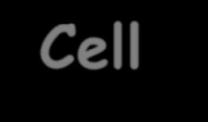 Cell differentiation During the development of a multi-celled organism cells differentiate to form specialised cells.