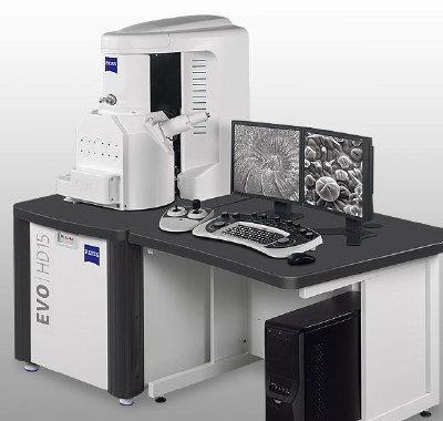 Scanning Electron Microscopes Scanning Electron Microscopes have much higher magnification