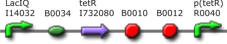34 5 Logične strukture katero lahko najdemo v skladišču pod oznako BBa J09855, pa je primer konvertorja AHL v PoPS. Biokocka na sliki 5.