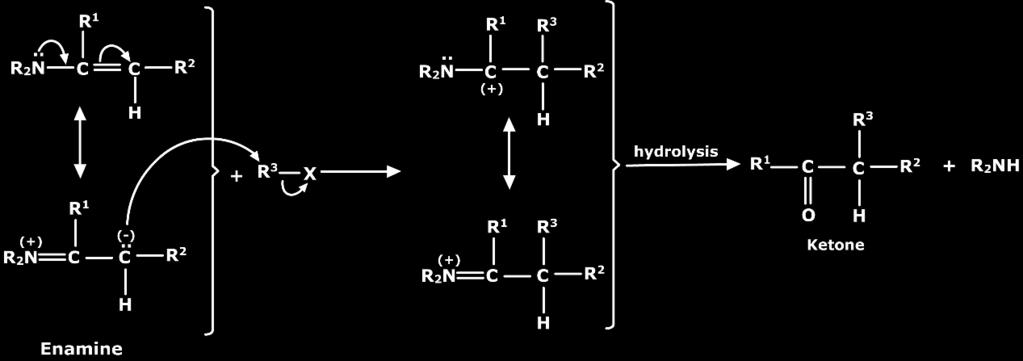 4.7 Stork Enamine reaction In the first step of the reaction from aliphatic ketones enamines are generated. The enamines are alkylated through a mechanism similar to Friedal Craft s alkylation.
