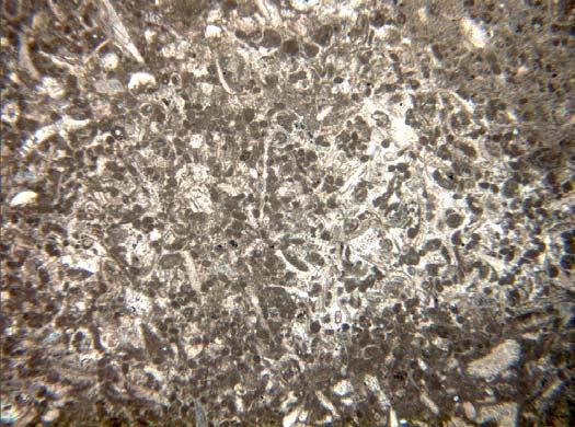 There also appear to be some meniscus type cements between the individual ooids.