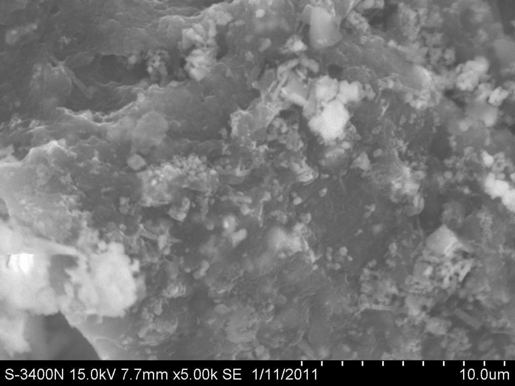 corresponding SEM micrographs being obtained using at an accelerating voltage of 15 kv (Hitachi SE 900) at 5000 magnification (Figure 5).