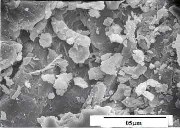 Figure 5.28 Scanning electron micrograph of 3.0% clay composite 5.2.5 Conclusions Based on Dispersion of MMT in PAI 1. Optical microscopy showed uniform distribution of clay platelets into PAI.