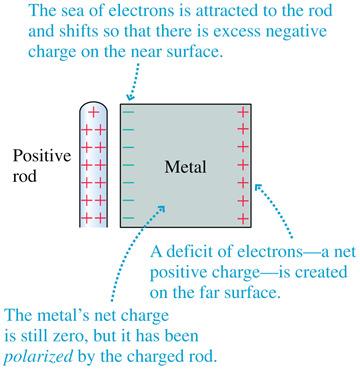 Charge Polarization Although the metal as a whole is still electrically neutral, we say that the object has been polarized.