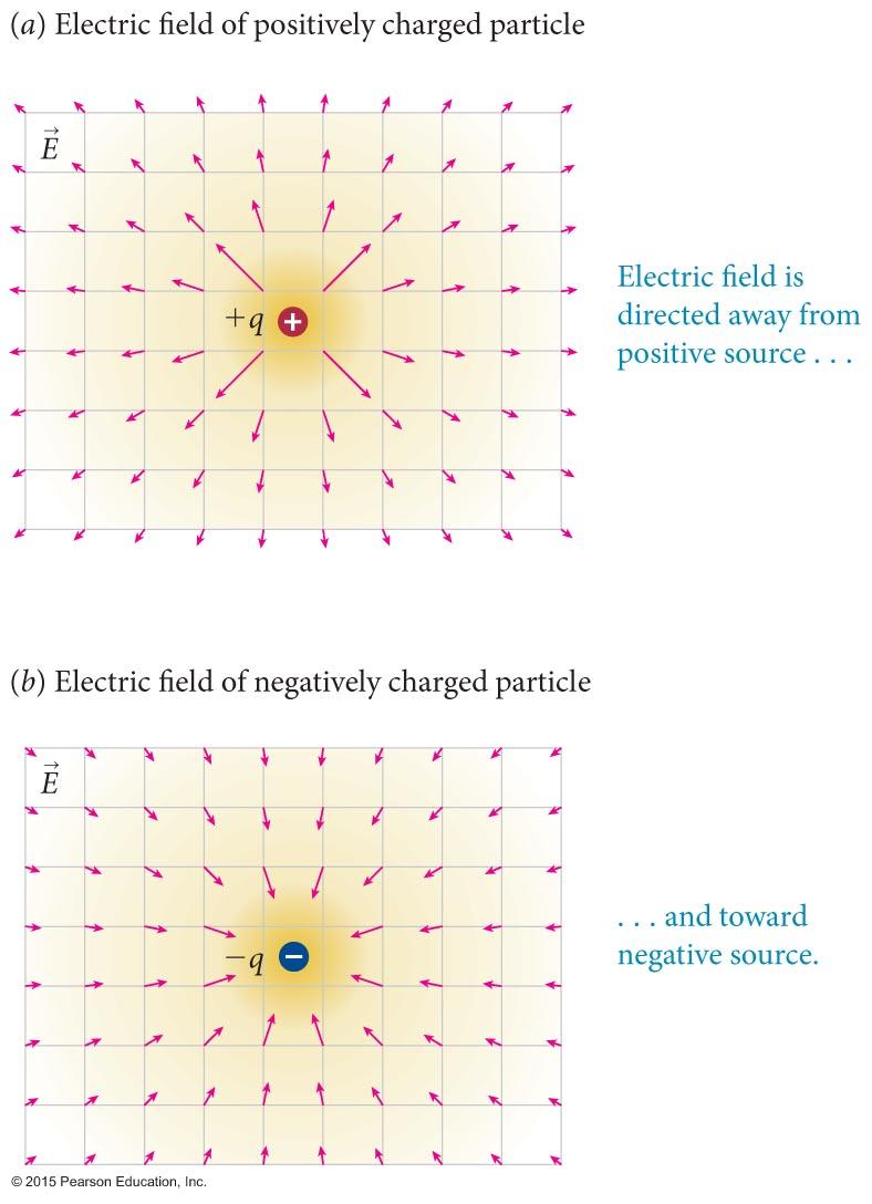 Electric field diagrams The figure shows the pattern of the electric field around single isolated positive and negative charges.
