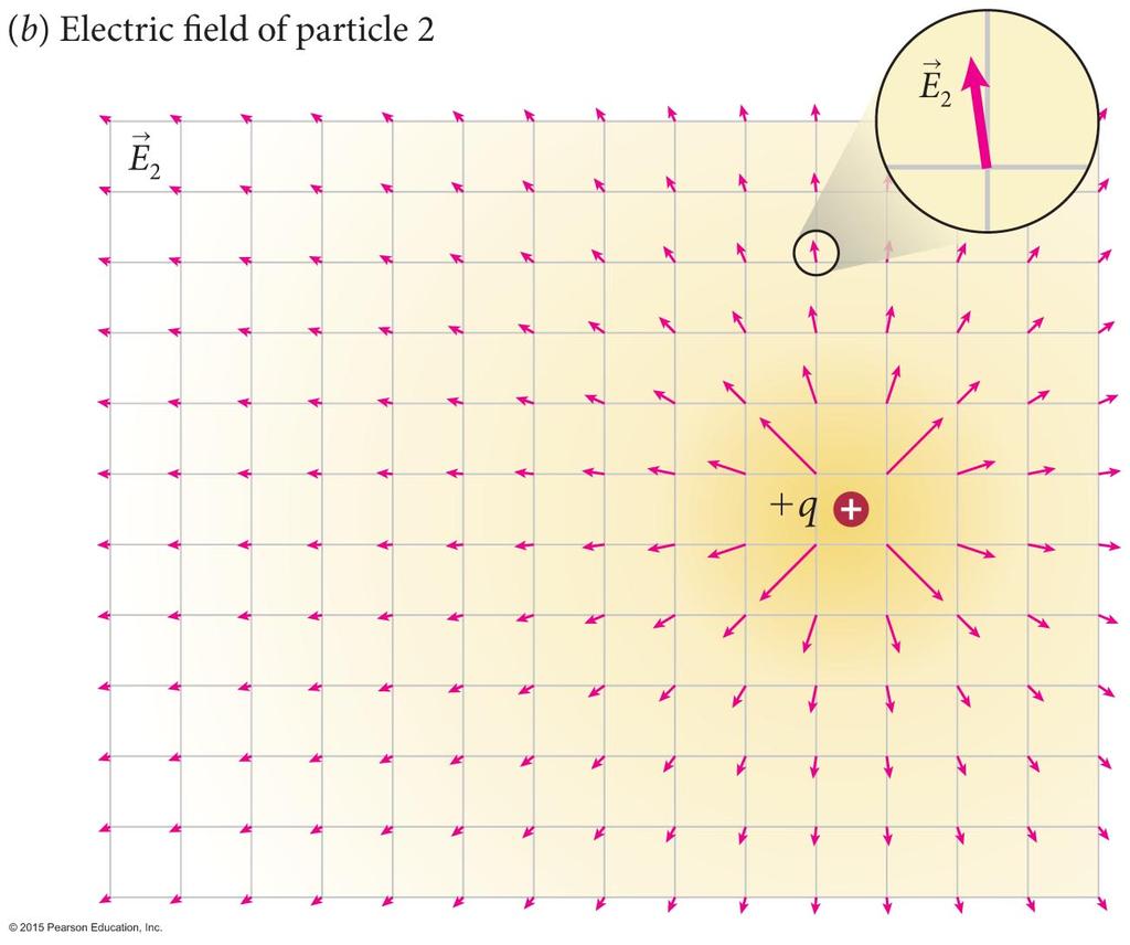 electric field vectors of the two individual