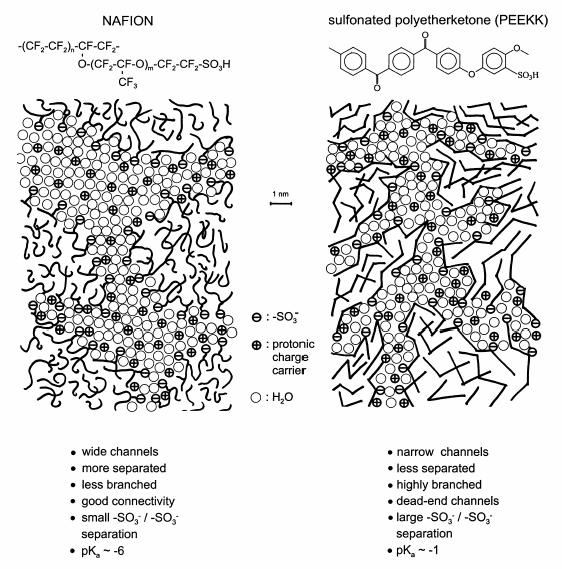 3-Proton Exchange Membranes A schematic representation of the microstructure of sulfonated polyetherketone compared with that of Nafion is reported in Figure 3.